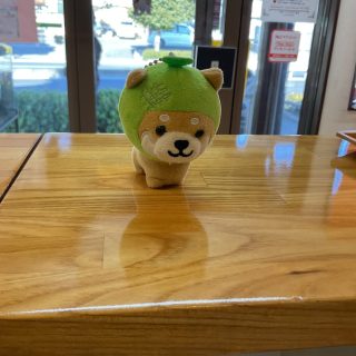 迷子の柴犬を保護しております。  色は、薄茶・緑・白  体重は　19G  お心当たりのある方は、当院スタッフにお声がけください。  なお、お預かりできる期間は1月程度となります。  木曽呂の森どうぶつ病院