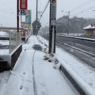 本日診療しております。
雪の状況によりこの後の診療や、明日の診療について変更になる場合がございますので、来院される前にお電話やSNS等をご確認頂けますと幸いです。
何卒ご理解の程よろしくお願い申し上げます。