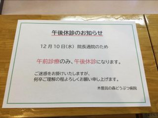 本日、院長通院のため午後の診察を臨時休診とさせて頂きます。
急なお知らせでご迷惑をお掛け致しますが、何卒ご理解の程よろしくお願い申し上げます。