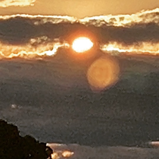 2026年、皆様にとっても、私達にとっても尚良い年になりますよう。  新年、張り切ってまいりましょう。  本年も、何卒よろしくお願い申し上げます。  木曽呂の森どうぶつ病院　一同