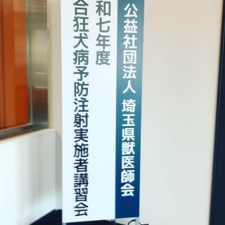 今週は、諸事情で午前診療のみになる日が多く誠に申し訳ありません、  　12/11は、狂犬病ワクチン　接種者講習に参加しておりました。
　来年度の集合注射参加者は、強制参加の講習会です。
（・・・・、勘違いで補修を受けた過去も・・・学生気分を久々に味わいましたよ。その時は）
　今回は海外を含めての狂犬病の発生状況や知見についてと、昨今大きな問題になっているSFTS　マダニ由来の感染症に関しての講習でした。
　日本は狂犬病清浄国でありますが、海外ではまだまだ狂犬病は認められる病気で年間５万人以上の命を落とす被害者が出ています。若齢犬による甘噛みも危険ですので、海外旅行中は気を付けていただきたくお願い申し上げます。また、日本国内ではなく旅行先での治療
の方が良い場合もあります。その際は、日本の公的機関などに問い合わせをしてみることも考えてみてください。薬　狂犬病ウィルス免疫グロブリンの有無など色々と善し悪しがあります。
　SFTSにつきましては、死亡率が２７％と高くあります。ご自宅の愛犬・愛猫の通年のノミダニ予防もですが、皆様が落ち葉を掃いたり草刈りや木々のケアをする際も服装などお気を付けください。  　今週は診察時間の短縮が多くありましたこと改めてお詫び申し上げます。